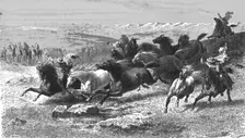 Catching Wild Horses with the Lasso; Frontier Adventures in the Argentine Republic 1875. Creator: Unknown