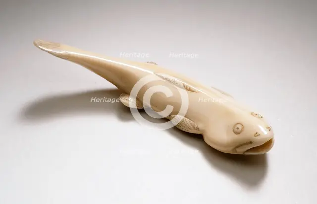 Catfish, 19th century. Creator: Unknown.