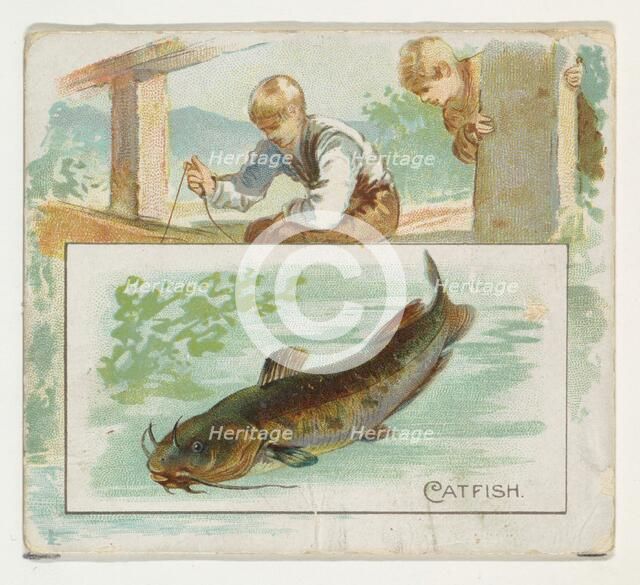 Catfish, from Fish from American Waters series (N39) for Allen & Ginter Cigarettes, 1889., Creator: Allen & Ginter.