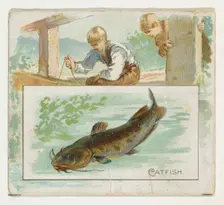 Catfish, from Fish from American Waters series (N39) for Allen & Ginter Cigarettes, 1889., Creator: Allen & Ginter