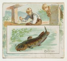 Catfish, from Fish from American Waters series (N39) for Allen & Ginter Cigarettes, 1889., Creator: Allen & Ginter