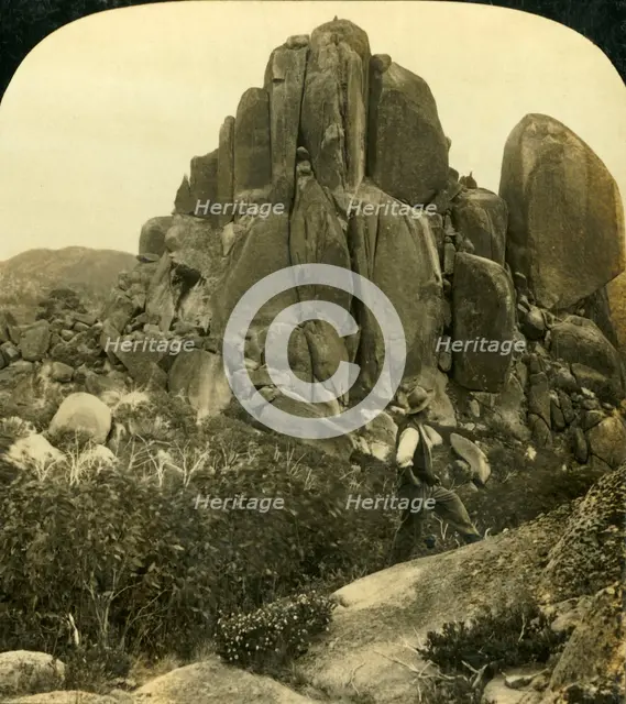 'Cathedral Rock, Buffalo Ranges, Victoria, Australia', c1909.  Creator: George Rose.
