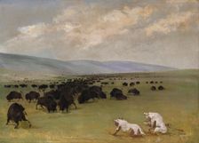 Catlin and His Indian Guide Approaching Buffalo under White Wolf Skins, 1846-1848. Creator: George Catlin