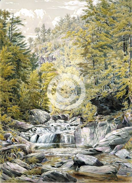 Catskill Clove, 1856. Creator: William Rickarby Miller.