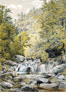 Catskill Clove, 1856. Creator: William Rickarby Miller