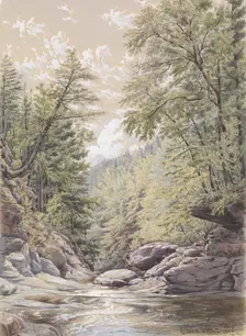 Catskill Clove in Palingsville, 1856. Creator: William Rickarby Miller