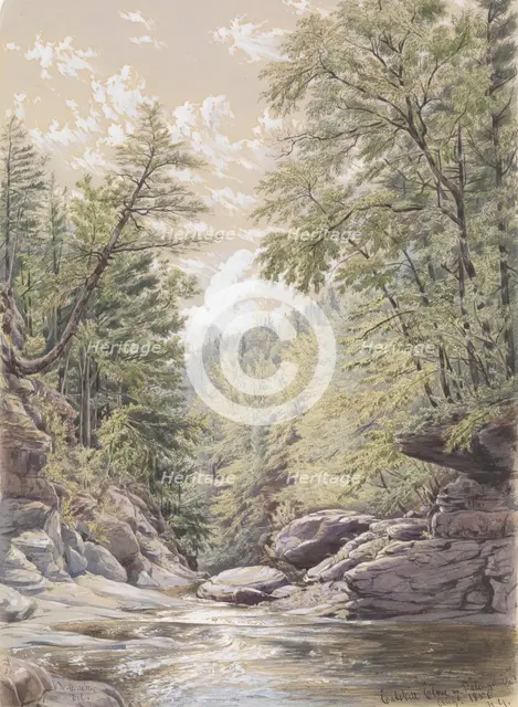 Catskill Clove in Palingsville, 1856. Creator: William Rickarby Miller.