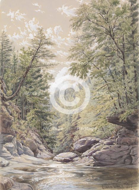 Catskill Clove in Palingsville, 1856. Creator: William Rickarby Miller.