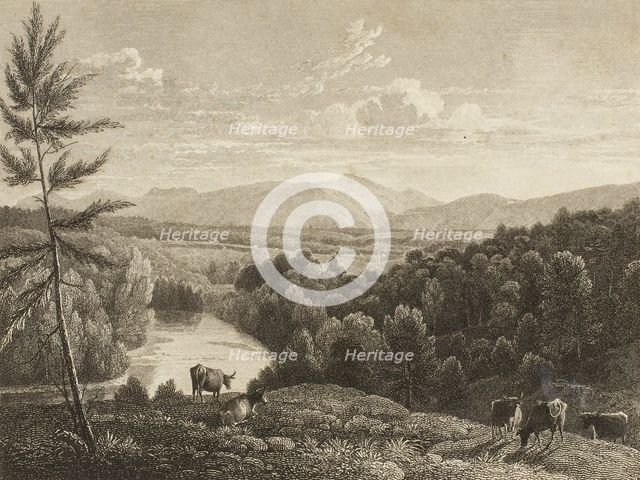 Catskill Mountains, n.d. Creator: Asher Brown Durand.