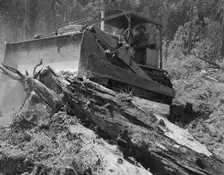 Catskinner and bulldozer, near Vader, Lewis County, Western Washington, 1939. Creator: Dorothea Lange