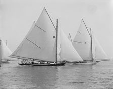 Catspaw, July 29, 1892, 1892 July 29. Creator: Unknown