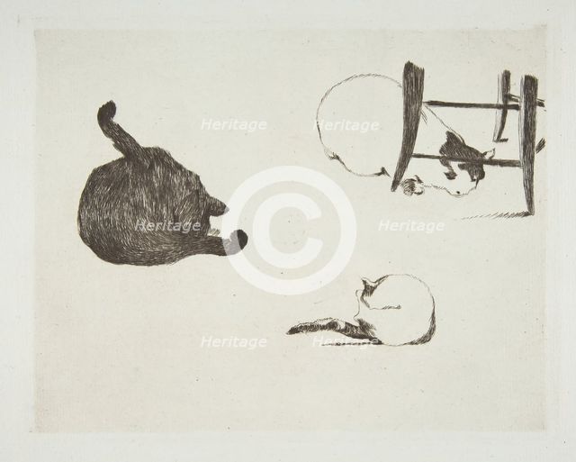 Cats, 1868-69. Creator: Edouard Manet.