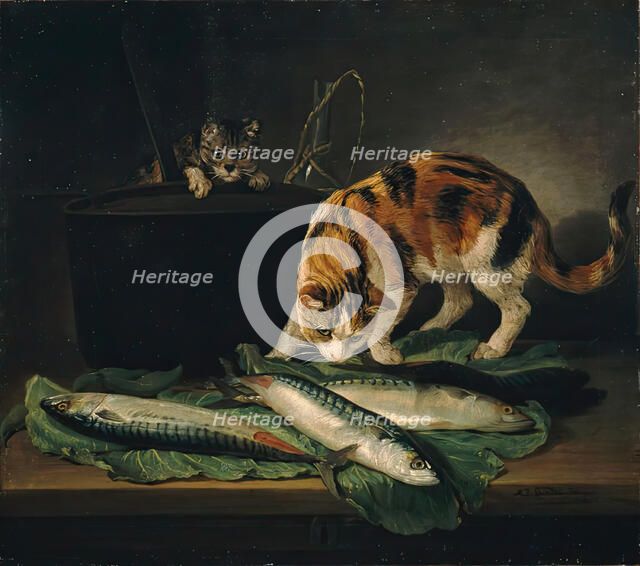 Cats and fish, 1781. Creator: Martin Ferdinand Quadal.