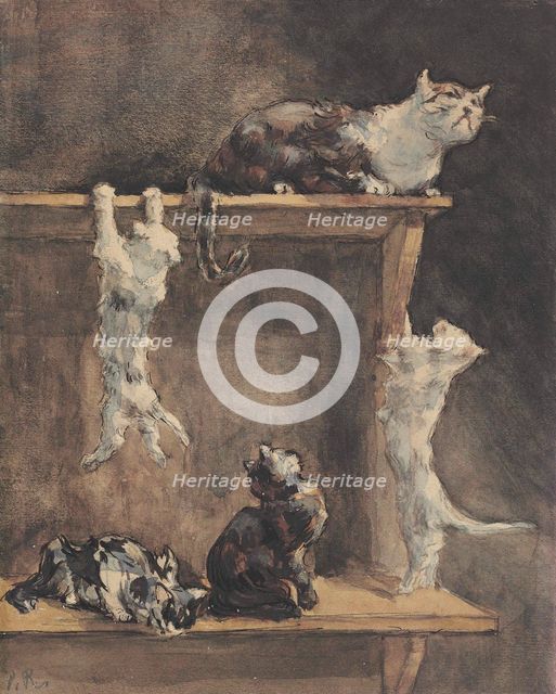 Cats and kittens on a dresser. Creator: Renouard, Paul (1845-1924).