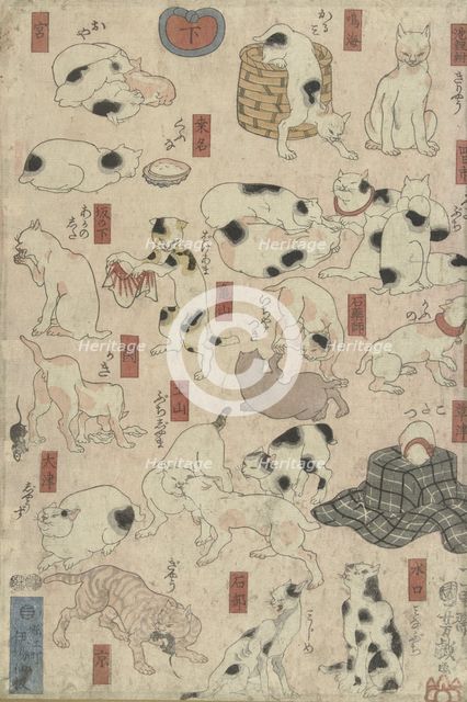 Cats. From the Series Fifty-three Stations of the Tokaido, 1848-1849.