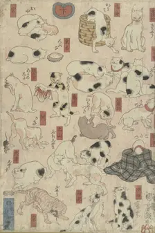 Cats. From the Series Fifty-three Stations of the Tokaido, 1848-1849