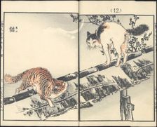 Cats. From the series Inakanotsuki, 1889