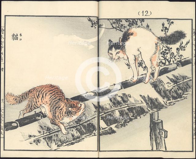 Cats. From the series Inakanotsuki, 1889.