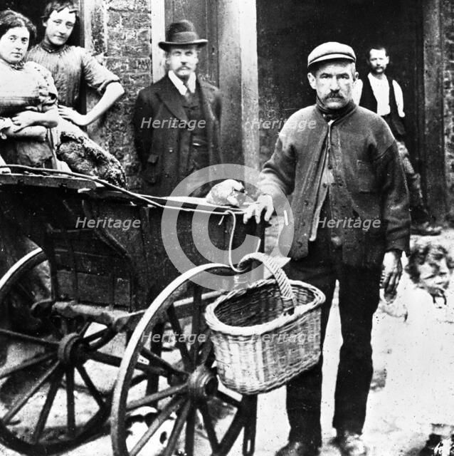Cat's meat man in an East End street, London, c1902. Artist: John Galt