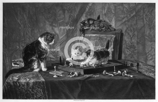 Cats playing with a chessboard.Artist: Goupil and Co