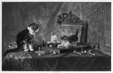 Cats playing with a chessboard.Artist: Goupil and Co