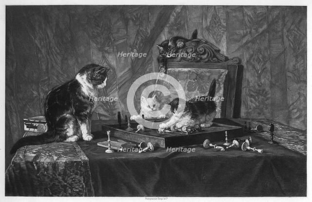 Cats playing with a chessboard.Artist: Goupil and Co