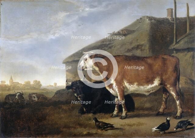 Cattle, 1660-1722. Creator: Abraham Pietersz van Kalraet.