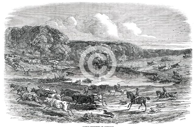 Cattle Mustering in Australia, 1850. Creator: Smyth.