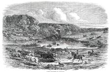 Cattle Mustering in Australia, 1850. Creator: Smyth