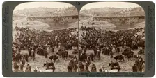 Cattle market day, in the lower pool of Gihon, Valley of Hinnom, Jerusalem, Palestine, 1900.Artist: Underwood & Underwood