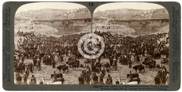 Cattle market day, in the lower pool of Gihon, Valley of Hinnom, Jerusalem, Palestine, 1900.Artist: Underwood & Underwood