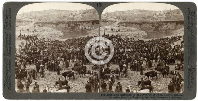 Cattle market day, in the lower pool of Gihon, Valley of Hinnom, Jerusalem, Palestine, 1900.Artist: Underwood & Underwood