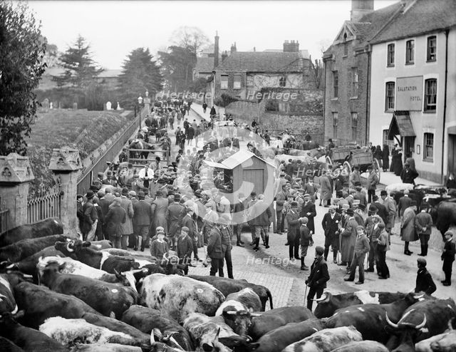 Cattle market, Faringdon, Oxfordshire, 1904. Artist: Henry Taunt.