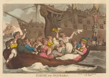 Cattle Not Insurable, published 1809. Creator: Thomas Rowlandson