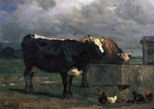 Cattle at the Trough, c1840-1860. Creator: Constant Troyon