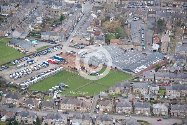 Cattle auction in progress at Barnard Castle Auction Mart, County Durham, 2016. Creator: Matthew Oakey.