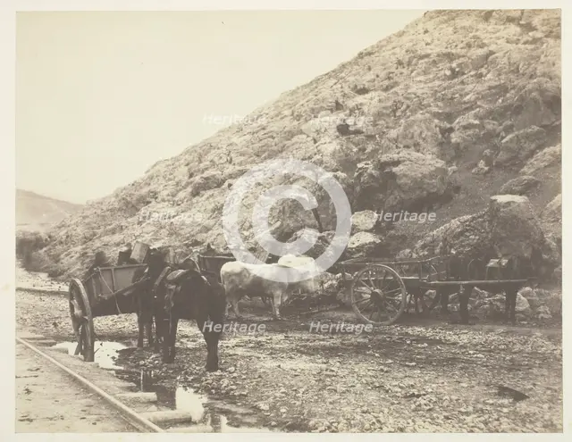 Cattle and Carts, leaving Balaklava, 1855. Creator: Roger Fenton.