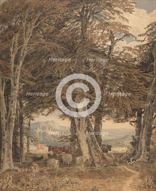 Cattle and Sheep at Resting at the Edge of a Forest, ca. 1840. Creator: George Barret the Younger.