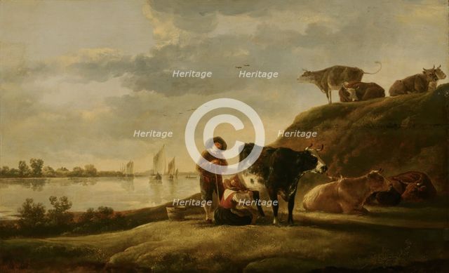 Cattle by a River. Creator: Aelbert Cuyp.