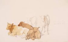 Cattle, c1840s. Creator: John Phillip