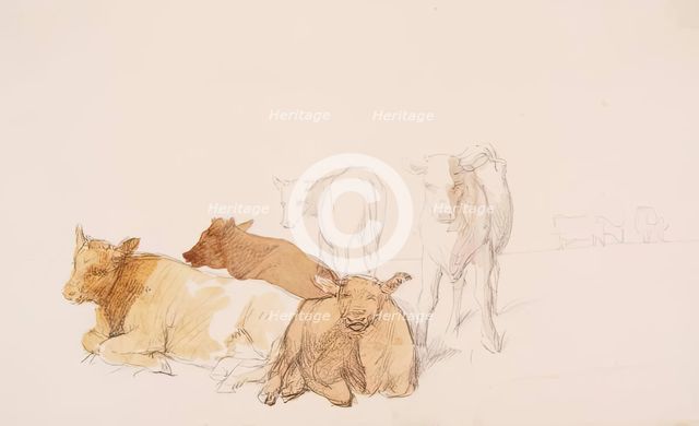 Cattle, c1840s. Creator: John Phillip.