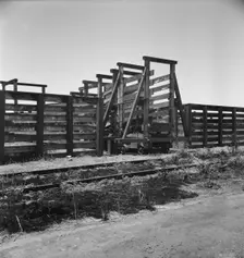 Cattle chute and part of corral, Fresno County on U.S. 99, 1939. Creator: Dorothea Lange