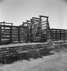 Cattle chute and part of corral, Fresno County on U.S. 99, 1939. Creator: Dorothea Lange