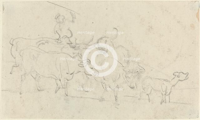 Cattle. Creator: Thomas Rowlandson.