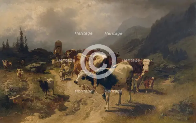 Cattle herding, 1870. Creator: Conrad Buhlmayer.