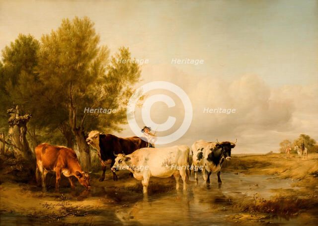 Cattle in a Stream, 1841. Creator: Thomas Sidney Cooper.