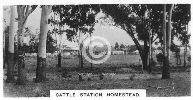Cattle station homestead, Australia, 1928. Artist: Unknown