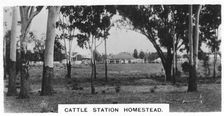 Cattle station homestead, Australia, 1928