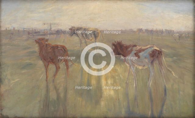 Cattle Seen against the Sun on the Island of Saltholm, 1892. Creator: Theodor Esbern Philipsen.