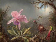 Cattleya Orchid and Three Hummingbirds, 1871. Creator: Martin Johnson Heade